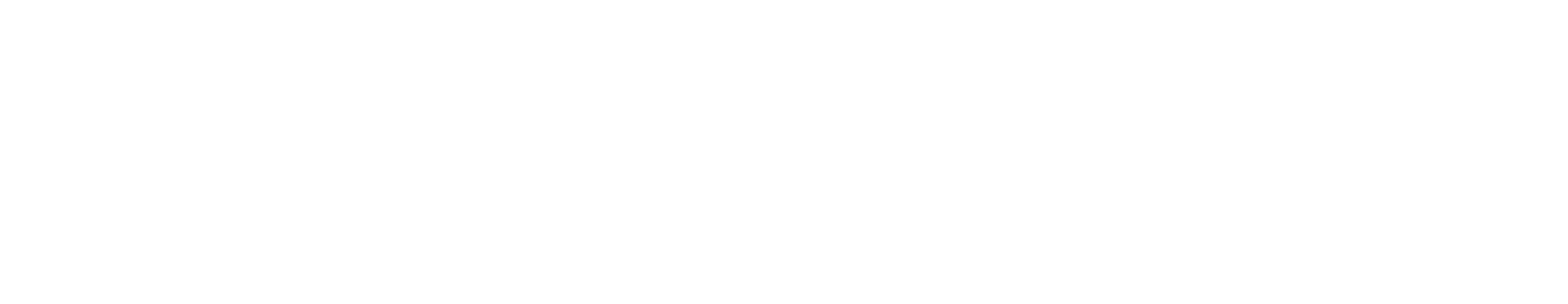 files/Logo_Wit_600x_ce67fdea-8a8e-4963-9ce8-c2847ae8c6a7.png